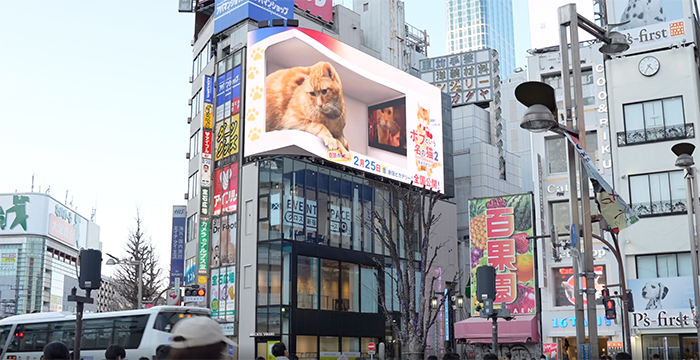 スーパー猫の日ウィークに 巨大3d猫でおなじみのクロス新宿ビジョンにて キュートな錯視3d予告編を放映 Pas Communications